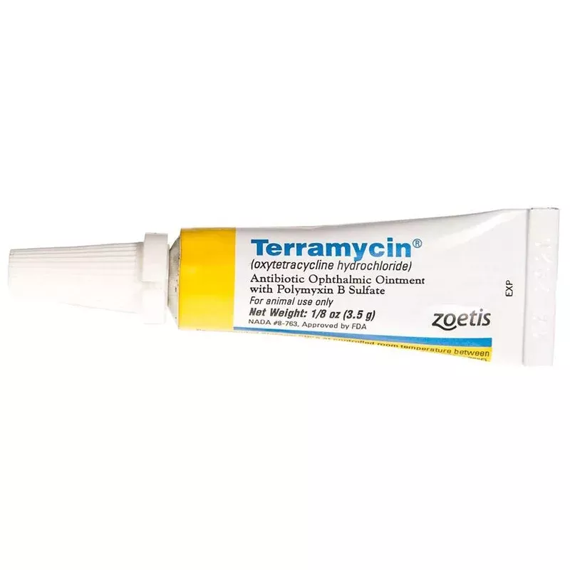 Zoetis Animal Health Terramycin Opthalmic Ointment 1/8oz